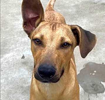 Photo of Riggs