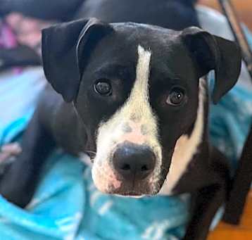 Photo of Cali