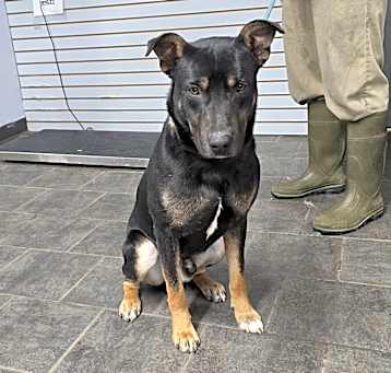 Photo of Onyx