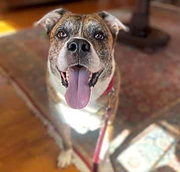 Photo of Max