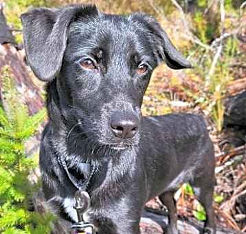 Photo of Adora
