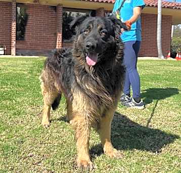 Photo of Rizzley