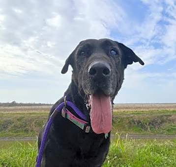 Photo of Lilly