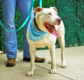 Photo of Big Boy