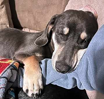 Photo of Tootsie