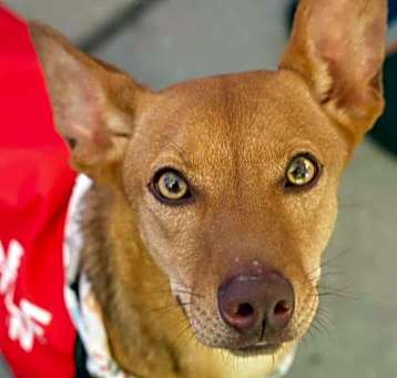 Photo of Ojitos-Beautiful eyes