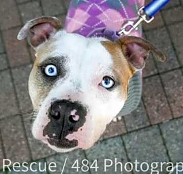Photo of Fiona
