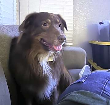 Photo of Bentley