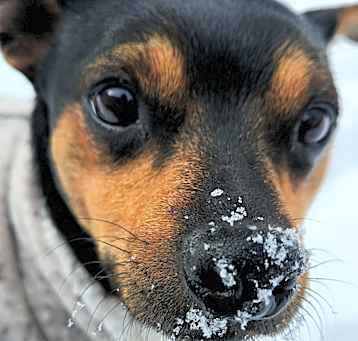 Photo of Pablo