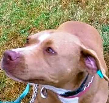 Photo of Diamond