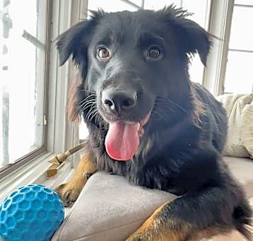 Photo of Osa