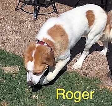 Photo of Roger