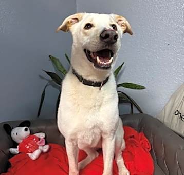 Photo of Ace Smiley