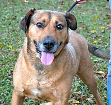 Photo of Cooper
