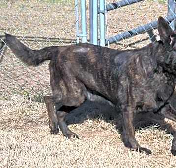 Photo of Zeus