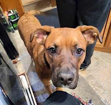 Photo of Nala