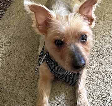 Photo of Coco