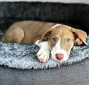 Photo of Emmy