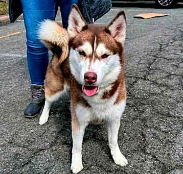 Photo of Betty