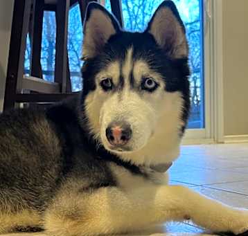 Photo of Marble