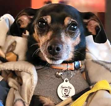 Photo of Peggy
