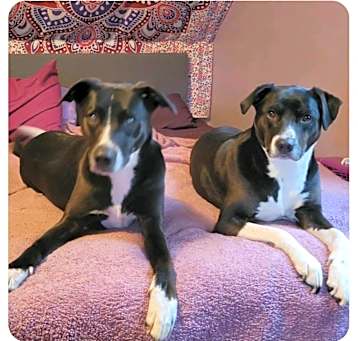 Photo of Sage & Willow Local