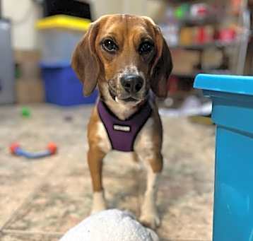 Photo of Stan