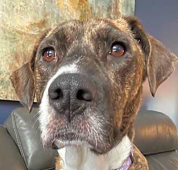Photo of Aspen