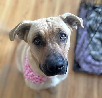 Photo of Candy