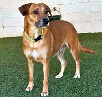 Photo of Tequila
