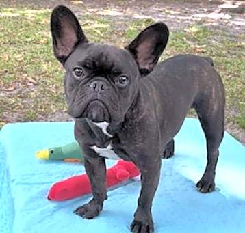 Photo of Percy