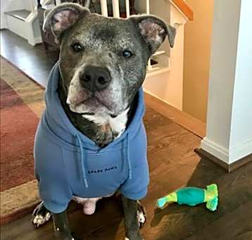Photo of *WILBUR