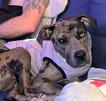 Photo of JUNO