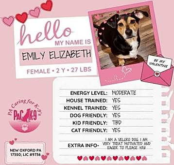 Photo of Emily Elizabeth