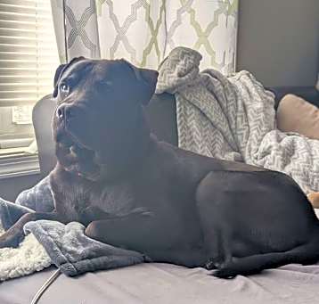 Photo of Remington
