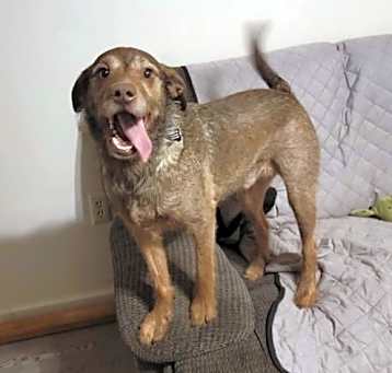 Photo of Max