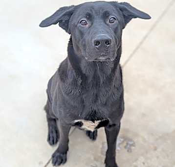 Photo of Hurricane