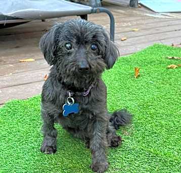 Photo of Candy