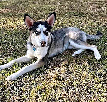Photo of Lilly