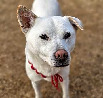 Photo of Chloe
