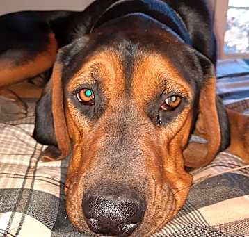 Photo of Finn