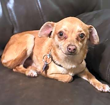 Photo of Tito
