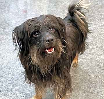 Photo of Grizzy