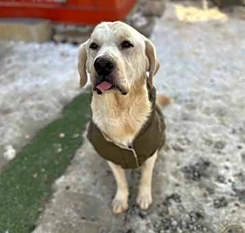 Photo of Gatsby