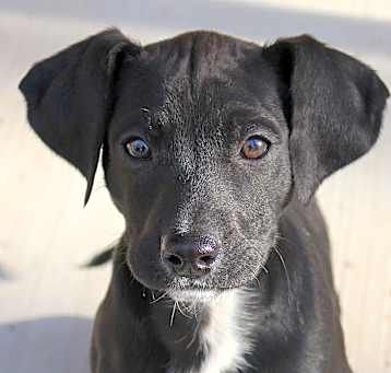 Photo of Levi