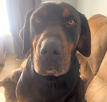 Photo of Theo