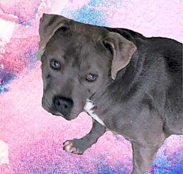 Photo of Sophia
