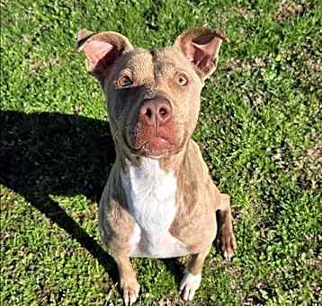 Photo of PAISLEY