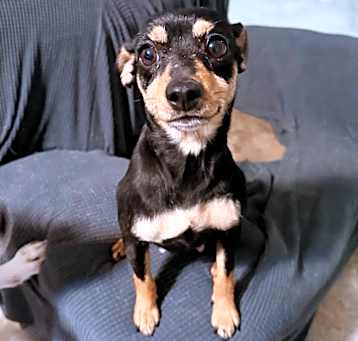 Photo of Tina