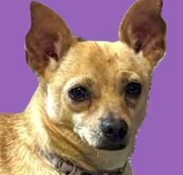 Photo of Ori